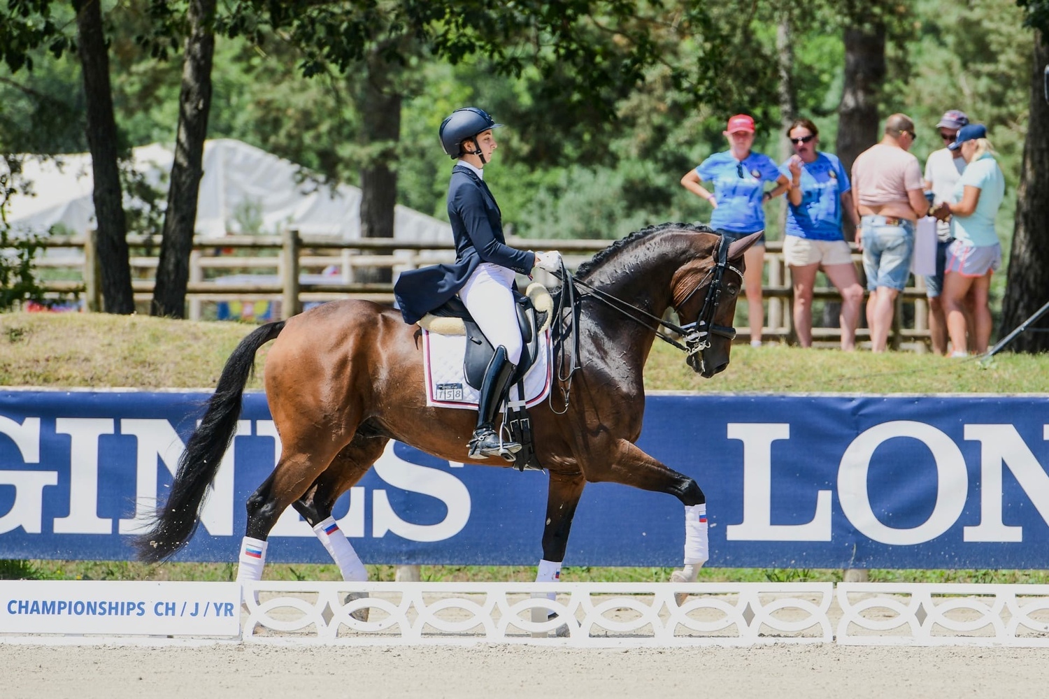 Запись на новый онлайн курс "Выездка с Анной Гусейновой"<br>